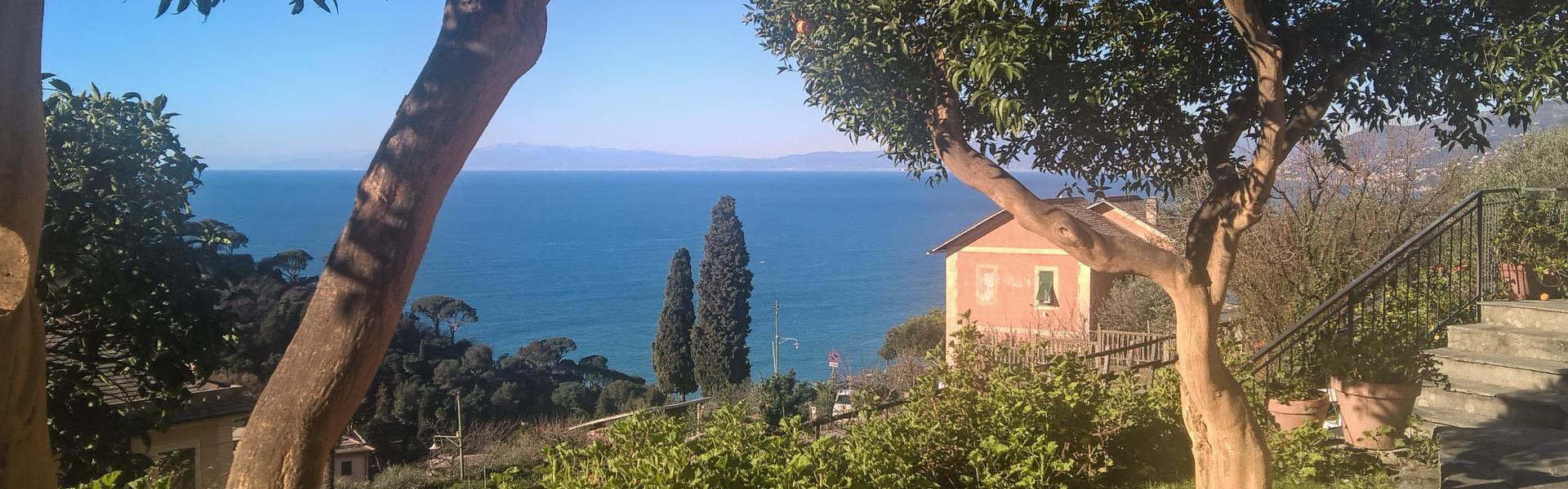 Bed and Breakfast Le Clementine, Camogli