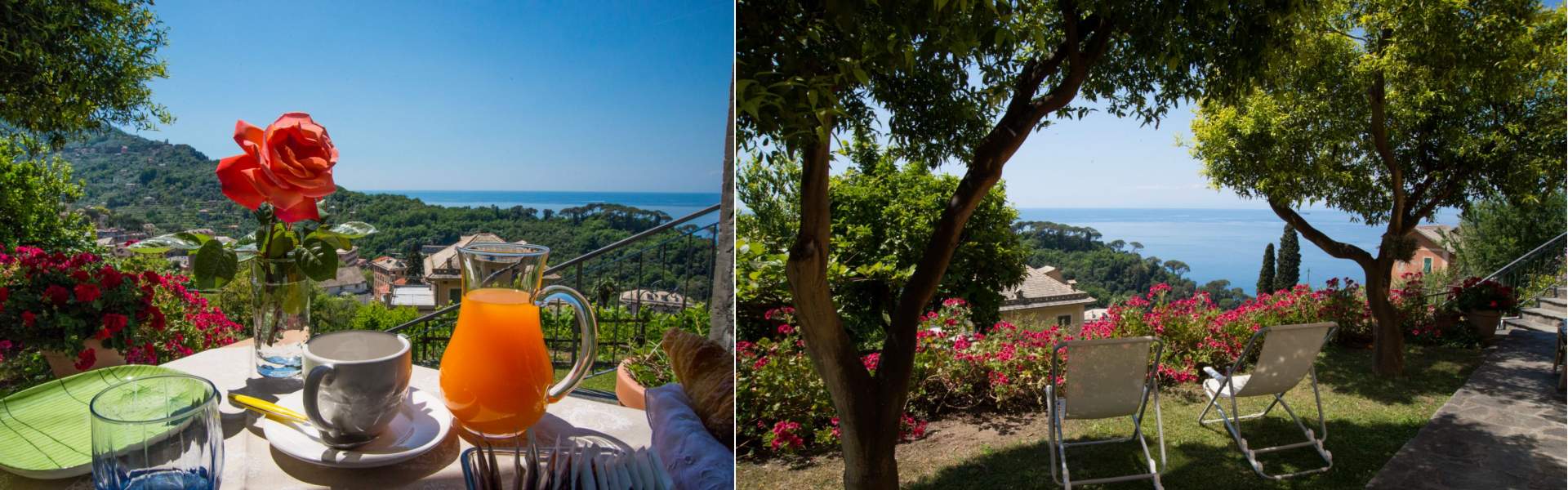Bed and Breakfast Le Clementine, Camogli