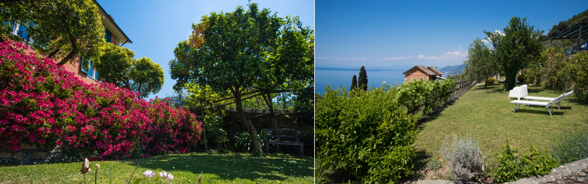 Il Giardino - Bed and Breakfast Le Clementine, Camogli