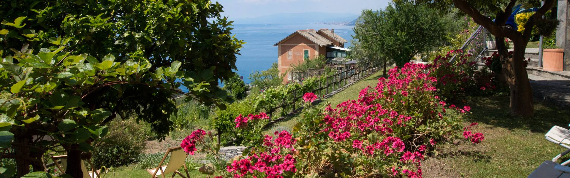 Il Giardino - Bed and Breakfast Le Clementine, Camogli